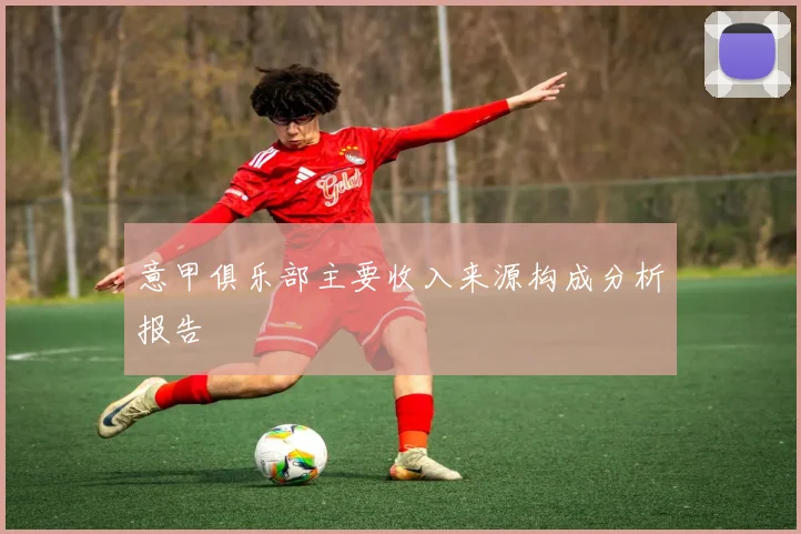 意甲俱乐部主要收入来源构成分析报告