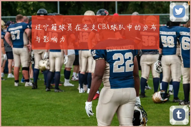 辽宁籍球员在各支CBA球队中的分布与影响力