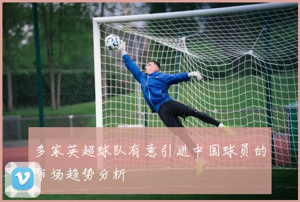 多家英超球队有意引进中国球员的市场趋势分析
